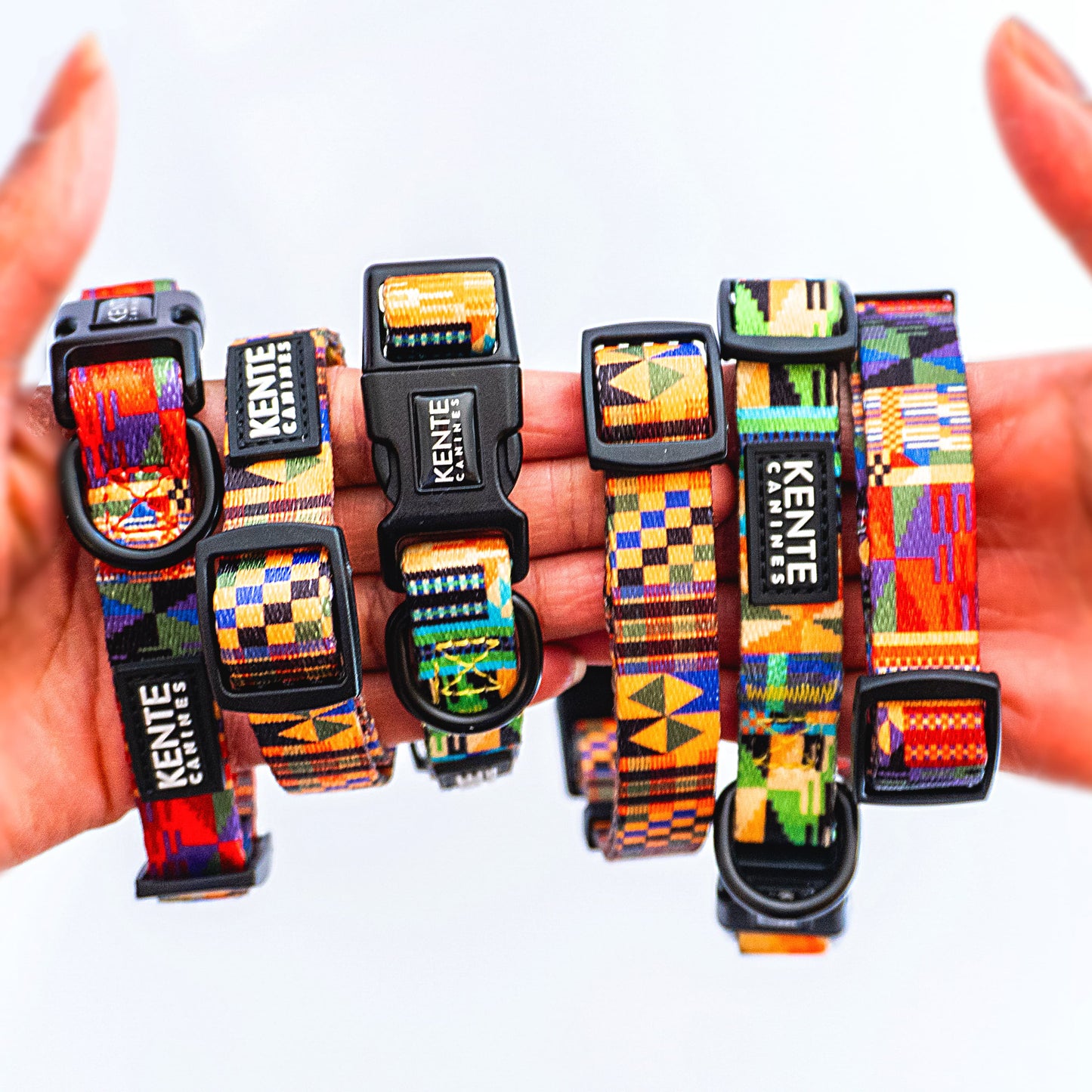 Colorful Kente Canines patterned dog collars held in hands against a white background
