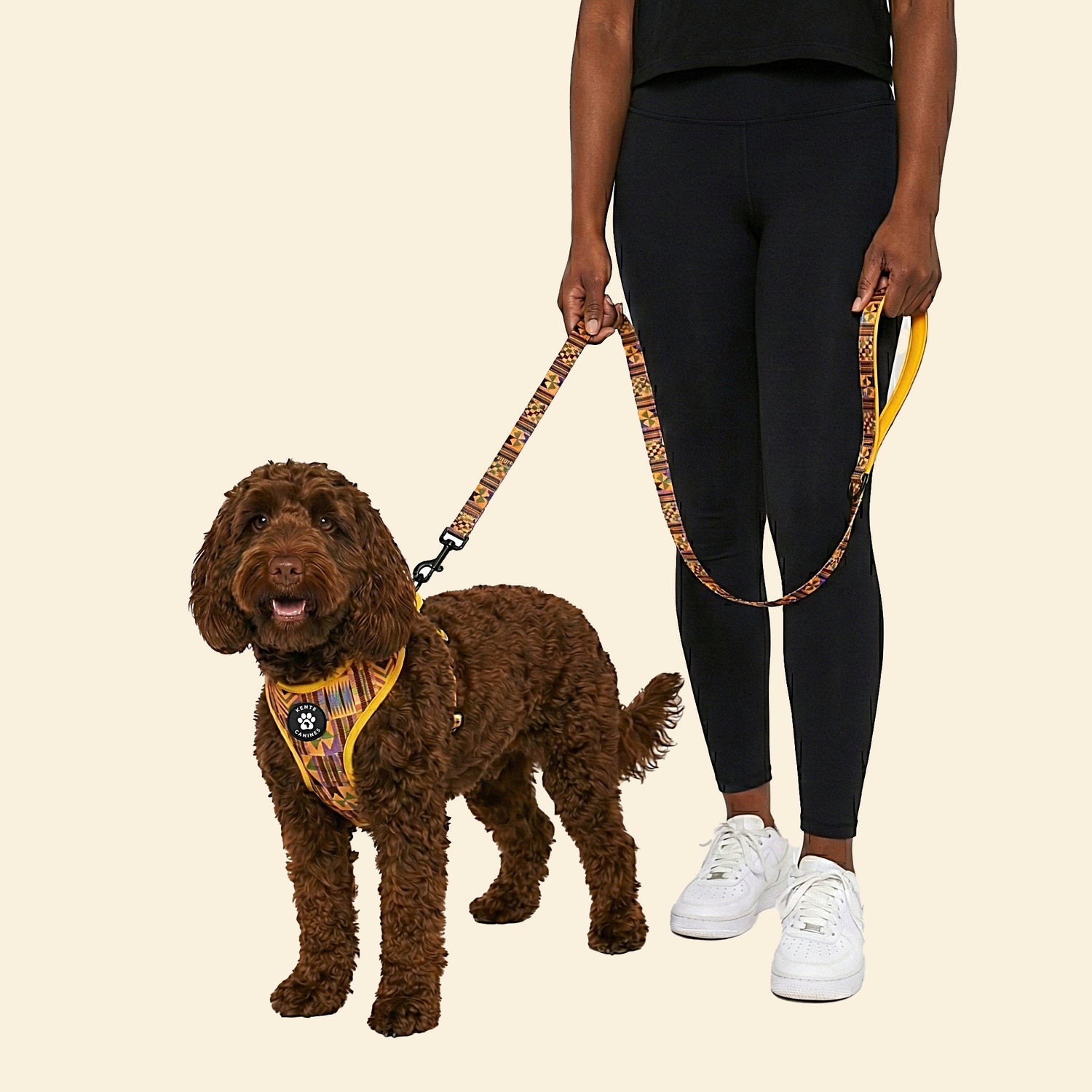 Gold Rush Leash and Harness Combo. Dog on a leash with a black woman wearing black leggings and white sneakers on a beige background