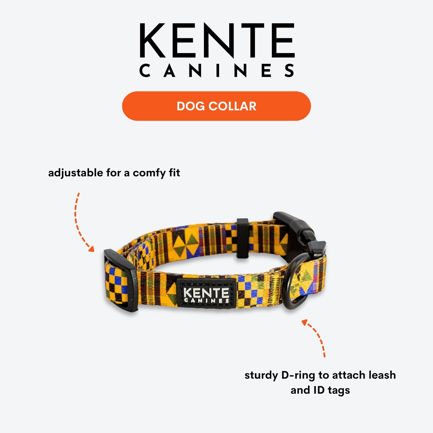 Gold Rush Dog Collar