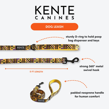 Gold Rush 3-Piece Dog Walk Set - Dog Harness Bundle