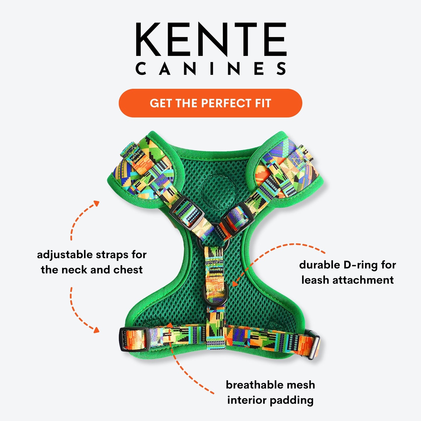 Jungle Green 3-Piece Dog Walk Set - Dog Harness Bundle