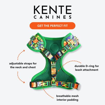 Jungle Green 3-Piece Dog Walk Set - Dog Harness Bundle