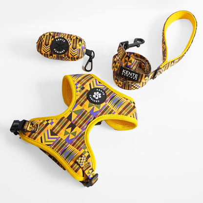 Kente Canines Gold Rush Dog harness, leash, and collar set with Kente pattern on a white background