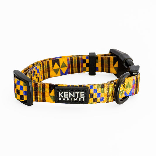Kente Canines Gold Rush Dog collar with black and yellow pattern on a white background