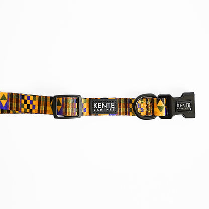 Kente Canines Gold Rush Dog collar with black and yellow pattern on a white background