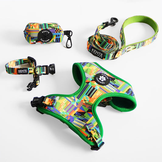 Kente Canines Colorful pet harness, collar, and leash set with 'Kente Canines' branding on a white background.