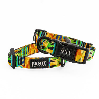 Kente Canines Jungle Green Colorful dog collar with 'Kente Canines' branding on a white background