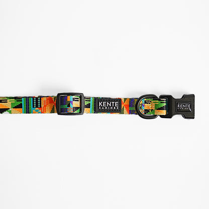 Kente Canines Jungle Green Colorful dog collar with 'Kente Canines' branding on a white background