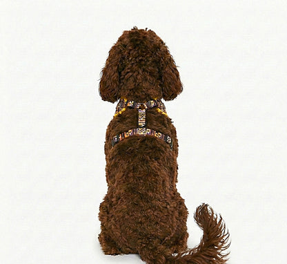 Brown dog wearing Kente Canines Jungle Green patterned harness on a white background from the back