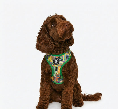 Brown dog wearing Kente Canines Jungle Green patterned harness on a white background from the front
