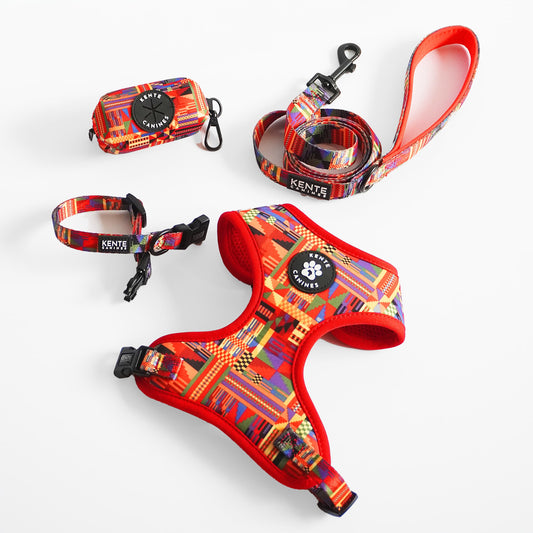 Kente Canines Safari Sunset Colorful dog harness, leash, collar and poop bag dispenser 4-piece set on a white background