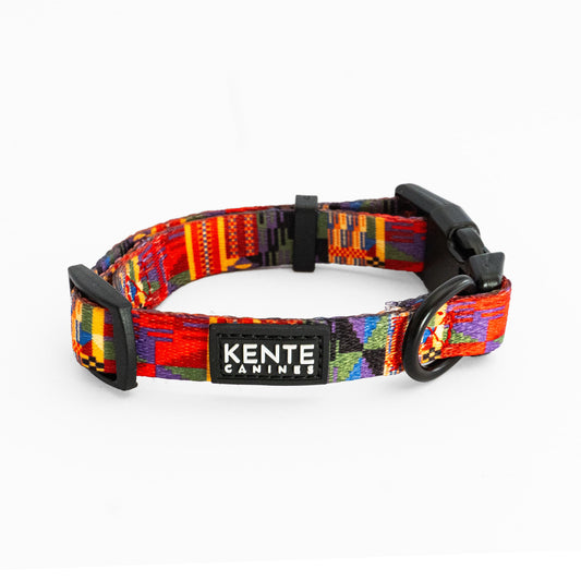 Kente Canines Safari Sunset Colorful dog collar with 'Kente Canines' branding on a white background
