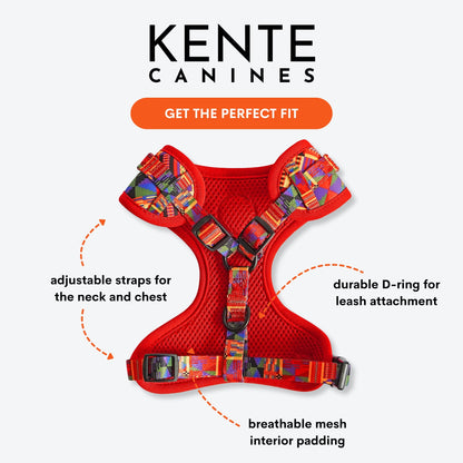 Safari Sunset 3-Piece Dog Walk Set - Dog Harness Bundle