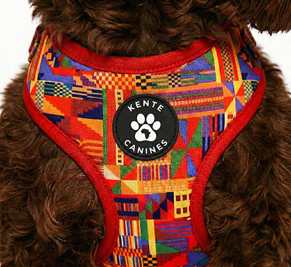 Brown dog wearing Kente Canines Safari Sunset Red patterned harness on a white background from the front zoomed in