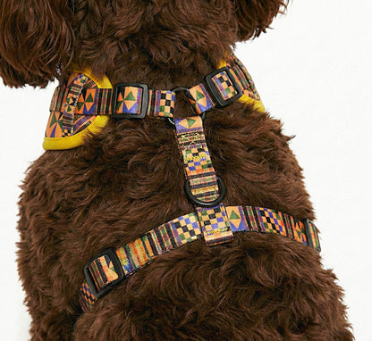 Brown dog wearing Kente Canines Gold Rush yellow patterned harness on a white background from the back zoomed in