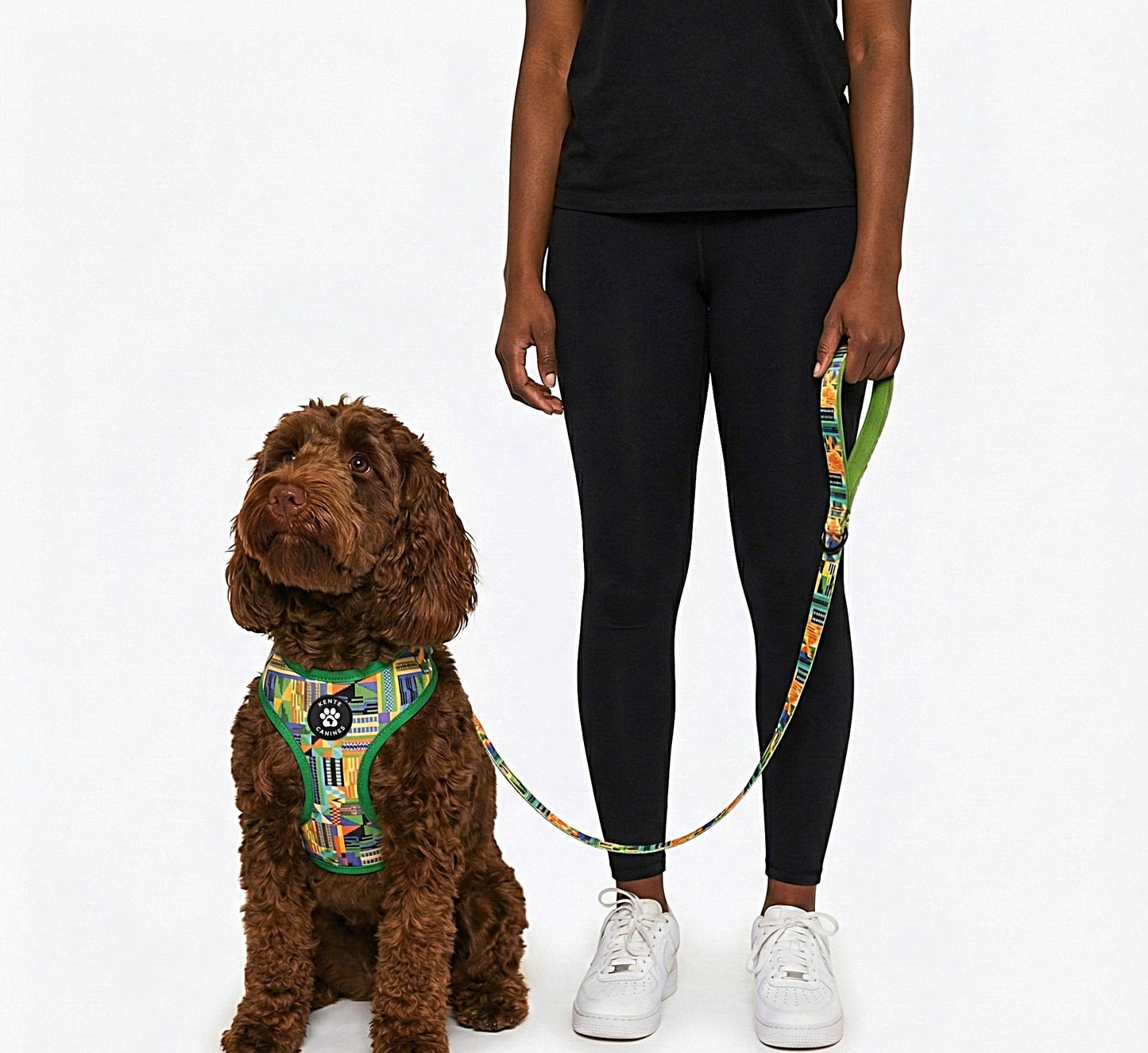 Brown dog wearing Kente Canines Jungle Green patterned harness with a person holding a leash on a white background