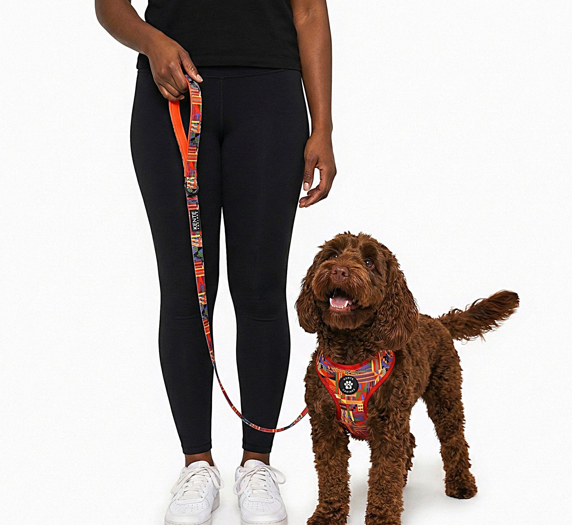 Brown dog wearing Kente Canines Safari Sunset Red patterned harness with a person holding a leash on a white background from the front